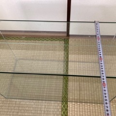 水槽その①の画像