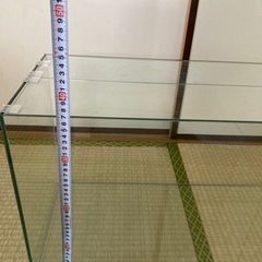 水槽その①の画像