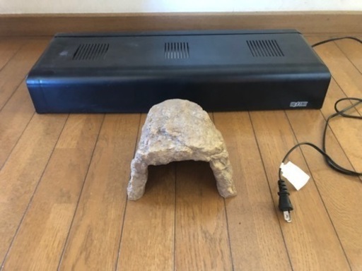 爬虫類　ガラスケージ　照明　ドーム