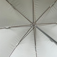 日傘　シンプル　レディースの画像