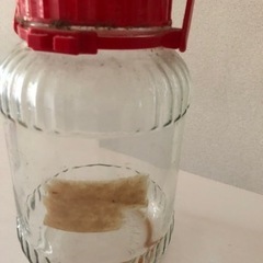 梅干しやらっきょうに！の画像