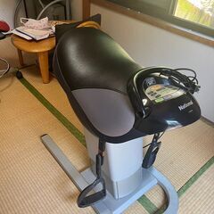 【ダイエットグッズ】ロデオマシーン　動作確認済み【品名　Nati...