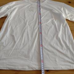 ✨未使用品✨長袖Tシャツ/sizeL/ladiesの画像