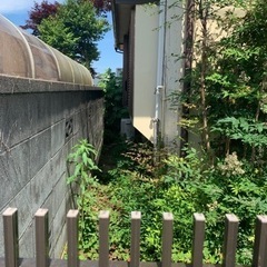 草刈り出来る方