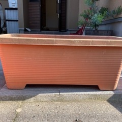 プランター３個