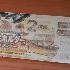 プランター３個の画像