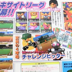 【No.52】ホームラン打とうぜ！エキサイトスタジアムの画像