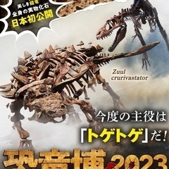 6月17日土曜日限定の取引。まもなく終了します！！ 恐竜博202...