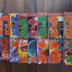 蒼天の拳 1~22巻  完結の画像