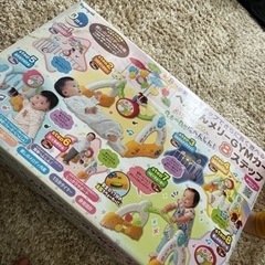 メリーの画像