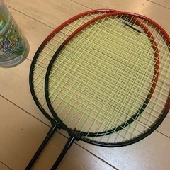 バドミントン ラケットと羽