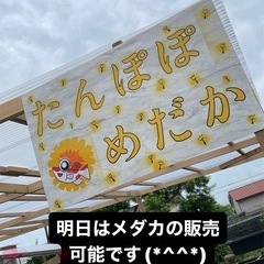 沢山の御来店ありがとうございます！