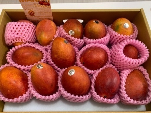 台湾産完熟 フレッシュアップルマンゴー 愛文芒果/愛文マンゴー　12玉