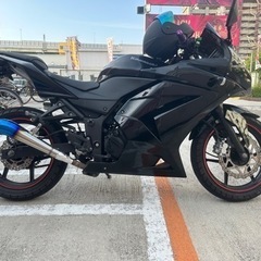 kawasaki Ninja250r 実働