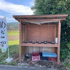 メダカ無人販売神奈川