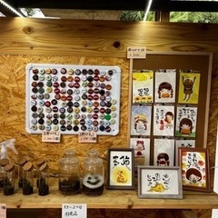 無人メダカ販売中！追加しました！他も販売ありの画像