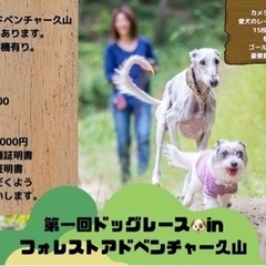 福岡！ドックレースイベント！可愛い、かっこいい写真撮ります