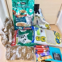【5000円相当】 飼育セット 猫餌 猫砂 チュール シーバ セット