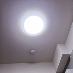 アイリスオーヤマ LEDシーリングライト 調光 ~6畳 (日本照明工業会基準) 3300lm 直径45cm リモコン 省エネ 取付簡単 SeriesL CEA-2006Dの画像