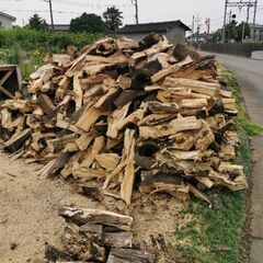 💌無料プレゼントです🔥樫の木　未乾燥　形不揃い　もう少しで評価100💌　の画像