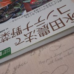 永田農法でコンテナ野菜 : めんどうな土づくりをしなくてもおいしさがぎゅっと詰まった野菜がつくれるの画像