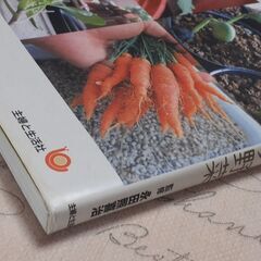 永田農法でコンテナ野菜 : めんどうな土づくりをしなくてもおいしさがぎゅっと詰まった野菜がつくれるの画像