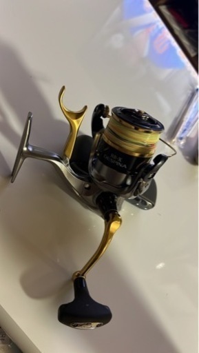 デスピナタイプG3000番