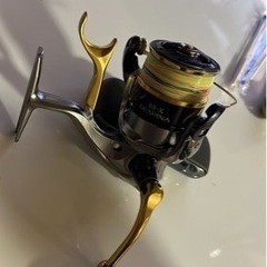 デスピナタイプG3000番