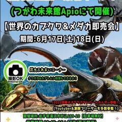 水槽&用品大赤字投げ売りします！