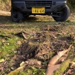 軽トラ