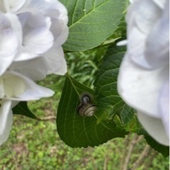 6月20日　一緒に写真を撮り行きませんか？