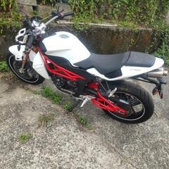 メガリ 250S　不動　書類付　Megelli