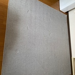 ペット用にいかがですか？本日まで‼️