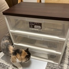 ★お話中★天板衣装ケース