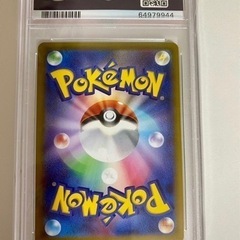 カイ PSA10の画像