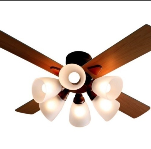 【6月30日まで】ロウヤ　シーリング　ファン　6灯