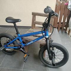 初めての自転車、初めてのBMX