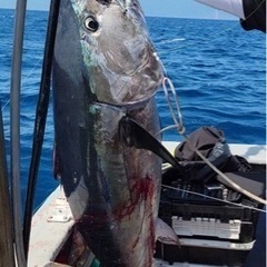 緊急募集！7月4日に酒田からのマグロ釣り
