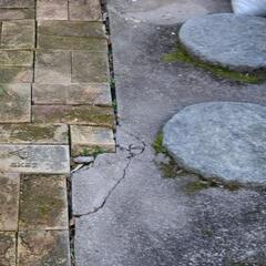 庭石　敷石　飛び石の画像