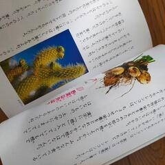 ふしぎがいっぱい小学三年生美品の画像