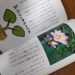 ふしぎがいっぱい小学三年生美品の画像