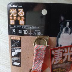 光るハーネスの画像