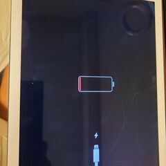  iPad Pro 10.5インチ Wi-Fiモデル 256Gの画像