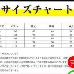 メンズサマーストライプシャツ新品(M)の画像