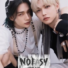 straykidsが好きな方