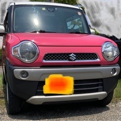 車検満タン　ナビ付　個人出品　スズキ　ハスラー　G 4WD スタ...