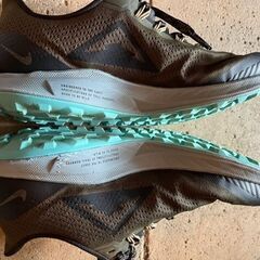 エアズームペガサス　36　トレイル　サイズ8　26cm　トレイルランニング用　登山の画像