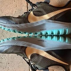 エアズームペガサス　36　トレイル　サイズ8　26cm　トレイルランニング用　登山の画像