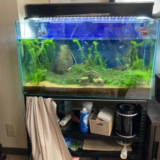 水槽&濾過装置 引き取り先決まりました！ 人気