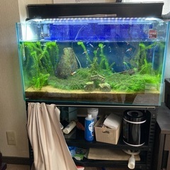 水槽&濾過装置 引き取り先決まりました！